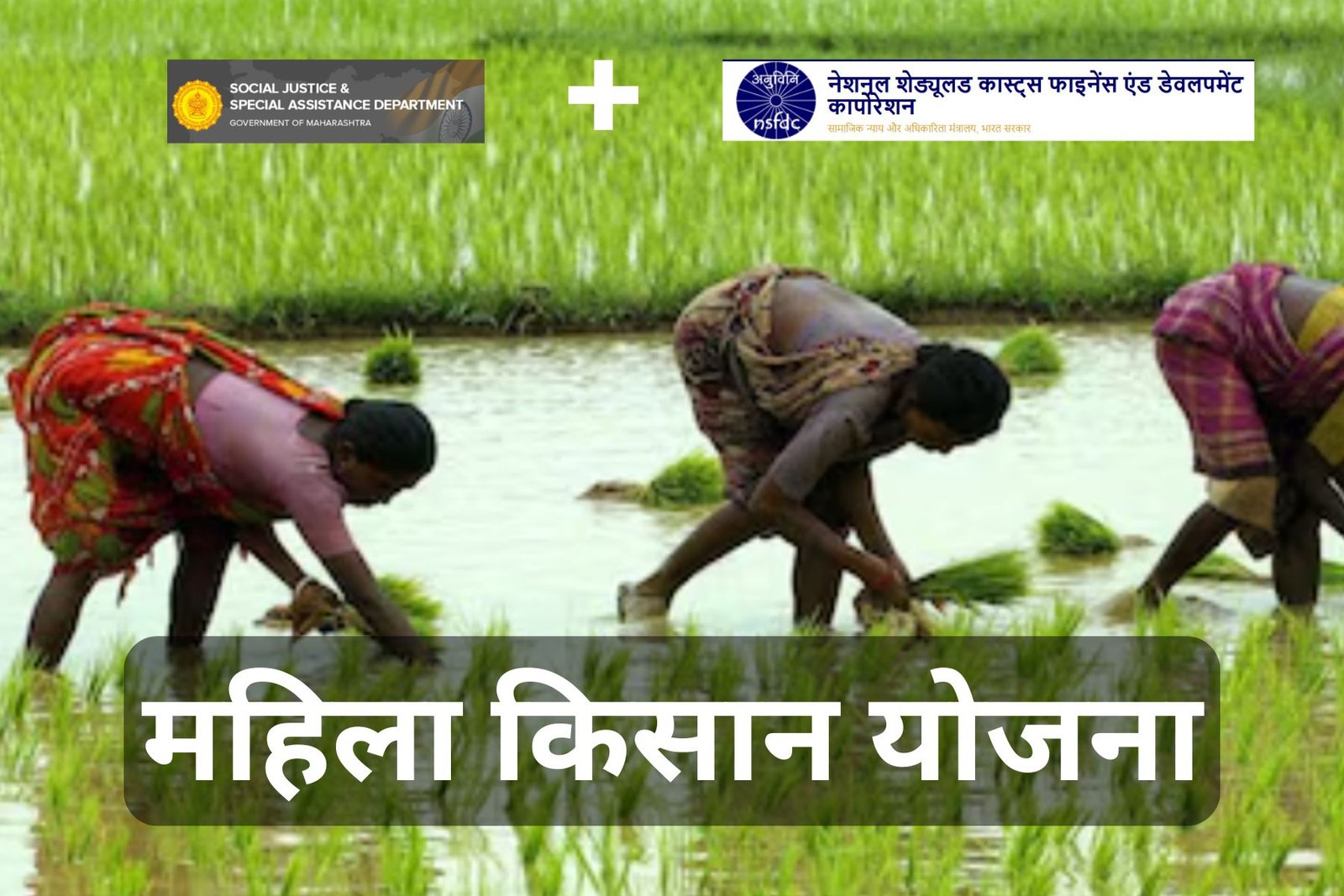 Women working in farm with the help of Mahila Kisan Yojana Scheme which is one of the scheme of Maharashtra Sarkari Yojana